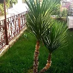 Apartament Dora